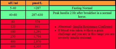 fasting insulin levels chart|Fasting Insulin Test: Normal Range + Low & High Levels.